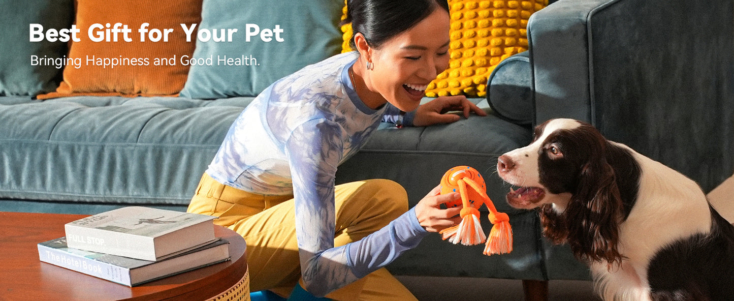 Smart Interactive Dog Toy