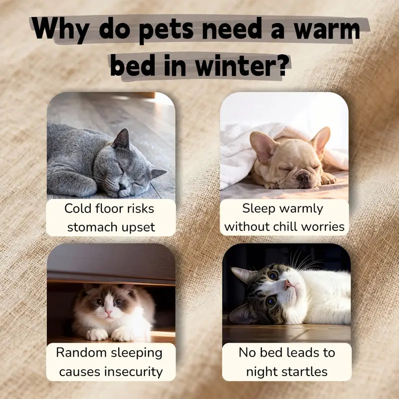 Hand-woven luxury pet bed