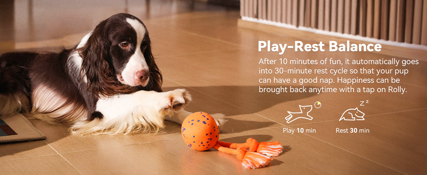 Smart Interactive Dog Toy